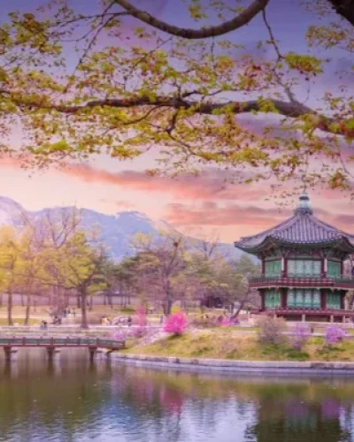 gyeongbokgung-palace-with-cherry-blossom-tree-spring-time-seoul-city-korea-south-korea_174052-438-ro0nxpi05c2fkyxtnz83f2o6f7o4xhxyuz194d6w0w